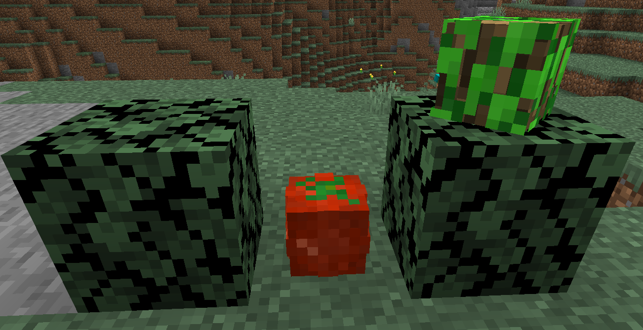   树莓灌木丛、番茄植物、香菜植物